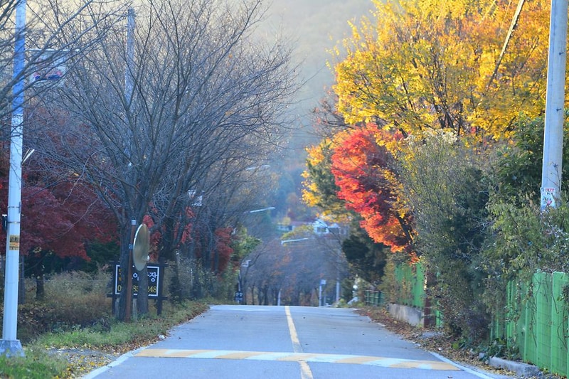 들꽃여울캠핑장 시설 사진 1