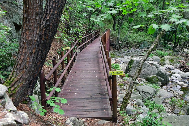 치인야영장 시설 사진 15