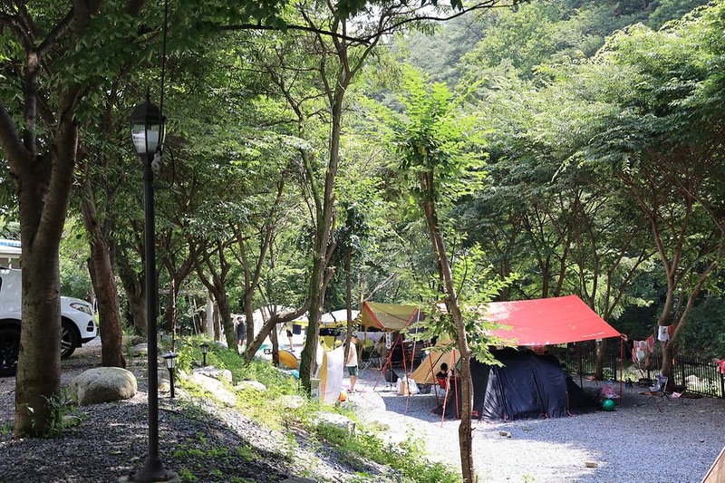 원주 우리 캠핑장 시설 사진 12