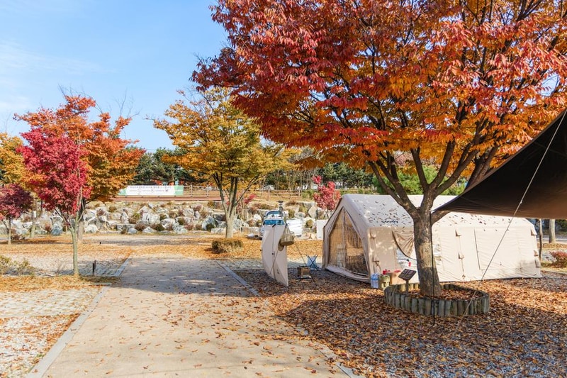 화성시 향남 오토캠핑장 시설 사진 76