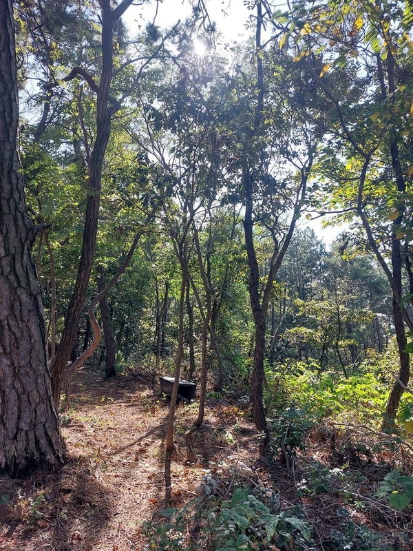 곡식정원(관광농원) 시설 사진 18