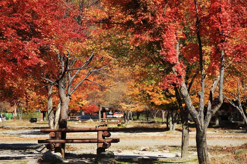 달궁자동차야영장 시설 사진 43