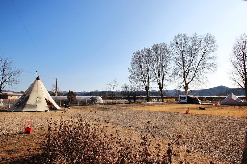 피플앤독 느티캠핑장 시설 사진 14