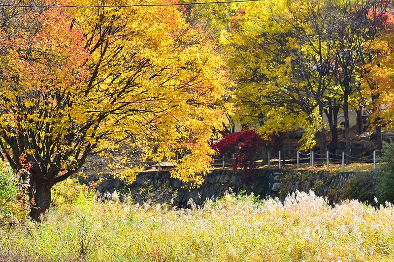 홀리데이캠핑장 시설 사진 7