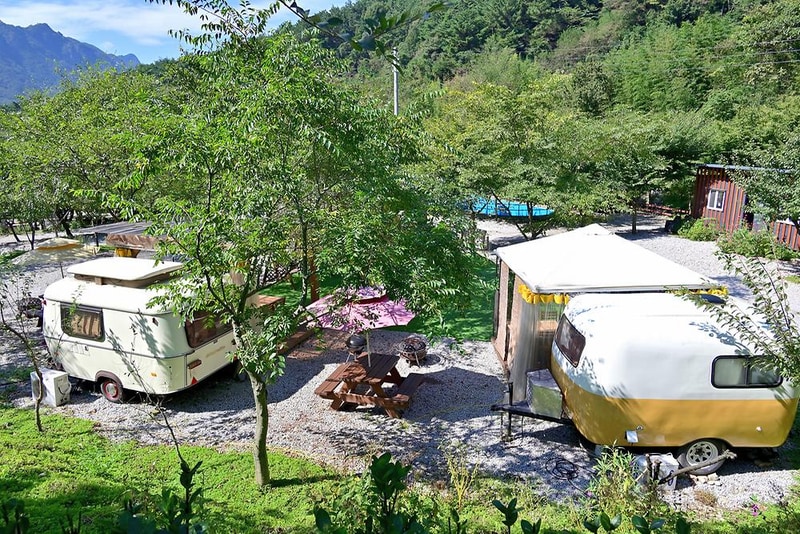 자두마을 시설 사진 16