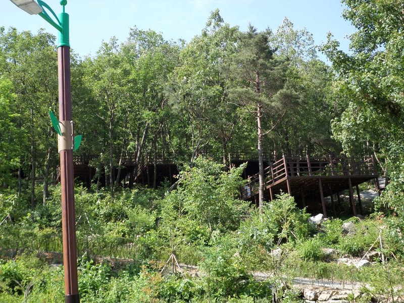 성불산자연휴양림 숲속캠핑장 시설 사진 3