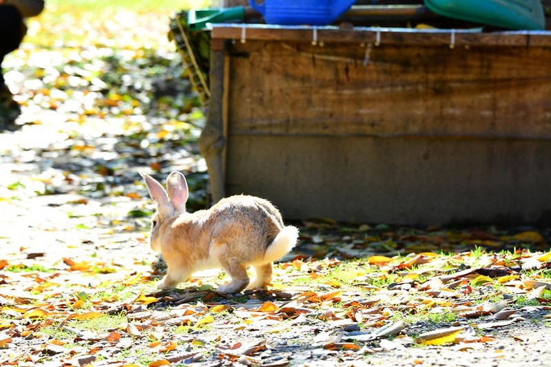 둥지캠핑장 시설 사진 2