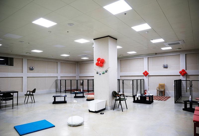 라이프위드도그 시설 사진 10