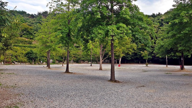 단풍숲캠핑장 시설 사진 1