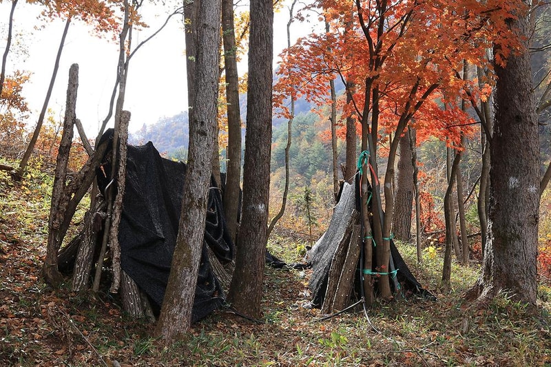 바람부리 별밤 캠핑장 시설 사진 17