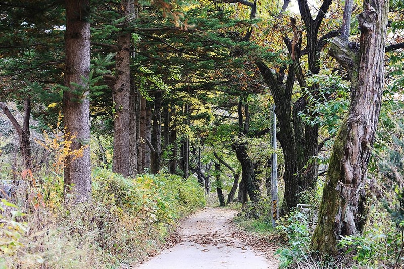 일영Star캠핑장 시설 사진 1