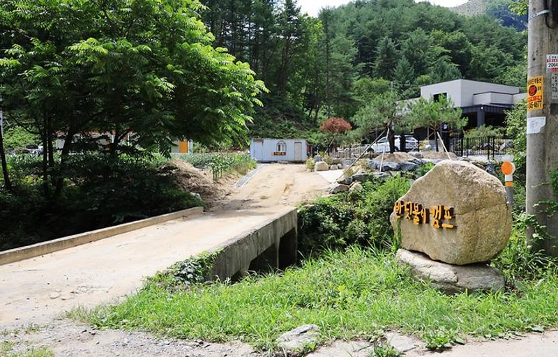 반딧불이 대표 사진