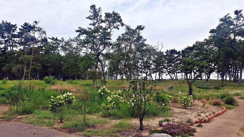 캠프 해놀 시설 사진 19