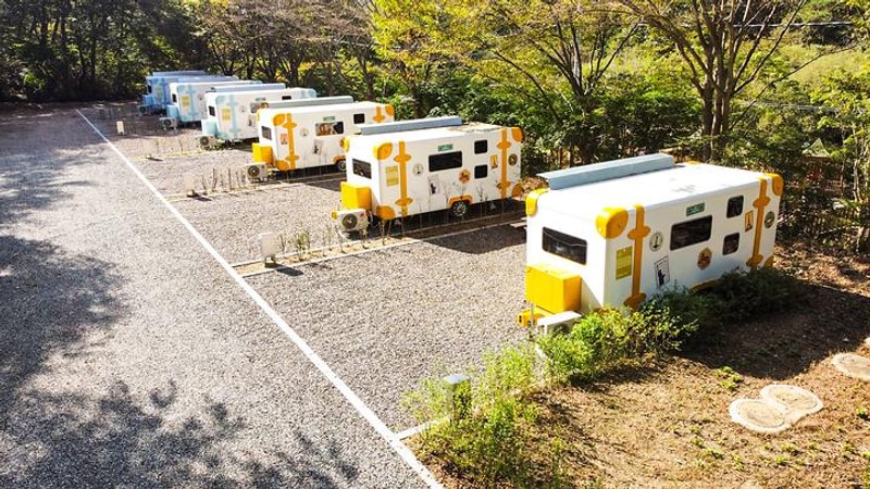 성수산 왕의숲 국민여가캠핑장