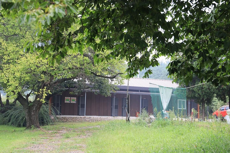 숲속의드림캠프야영장 시설 사진 12