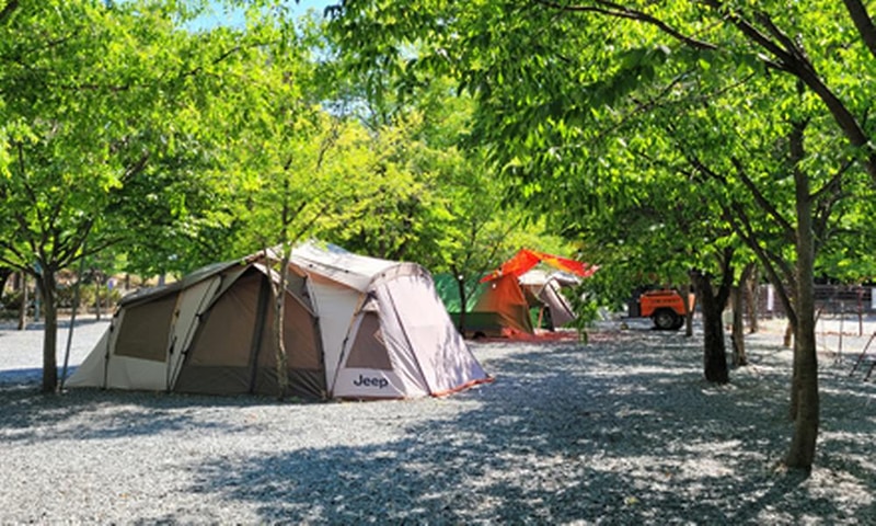 밀양스쿨오토캠핑장 시설 사진 5