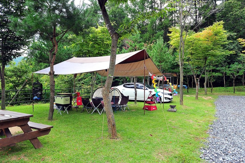 닥박골 휴양림 시설 사진 9