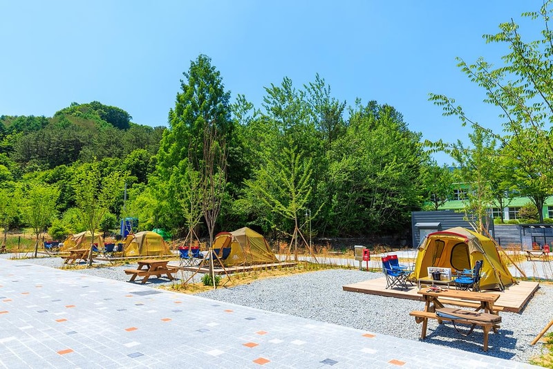 경상북도교육청김천오토캠핑장 시설 사진 12