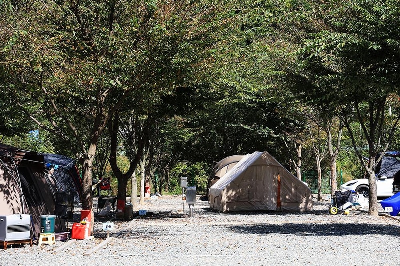 보랏빛오토캠핑장 시설 사진 7