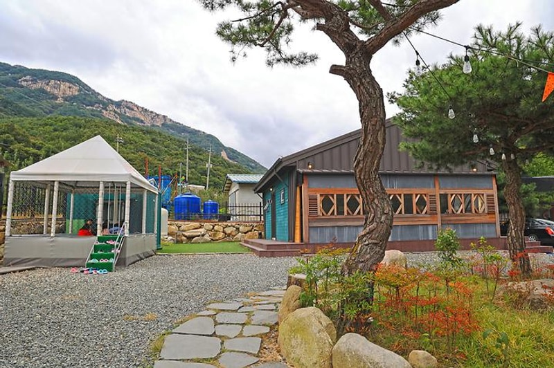 캠핑가는 날 대표 사진