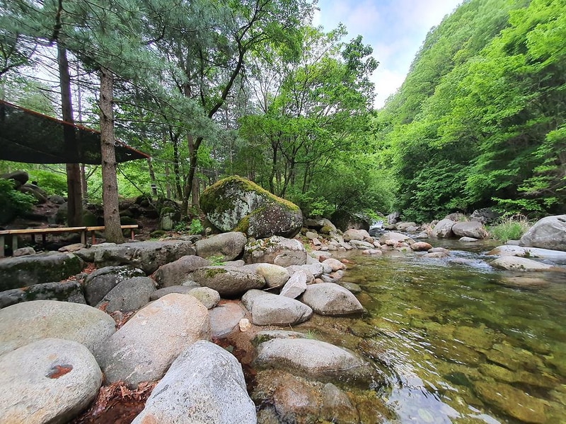 단양 천동계곡 캠핑장 그린농원 시설 사진 22