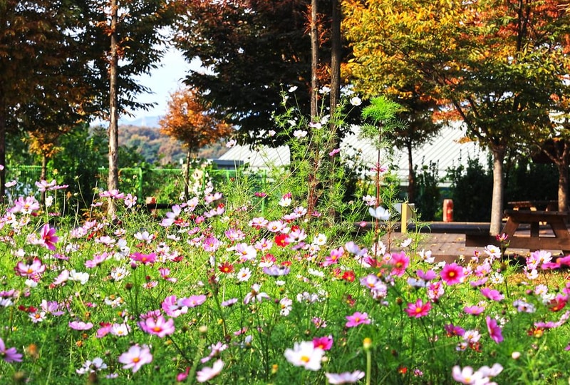 안성맞춤 캠핑장 시설 사진 60