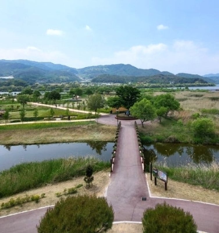 파로호꽃섬