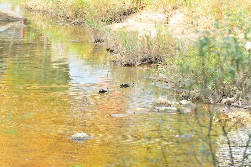 솔밭펜션캠핑장 시설 사진 3