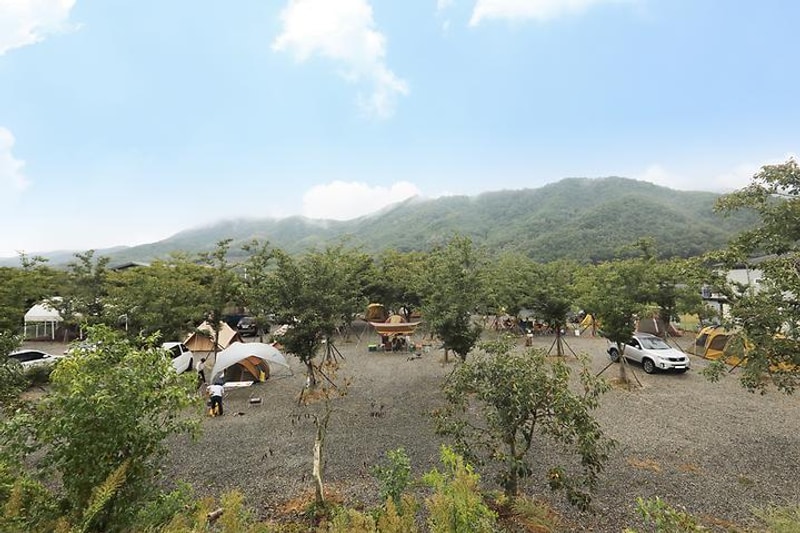 청도 지오오토캠핑장