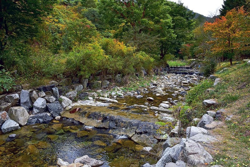 아버지의숲 산정캠프 시설 사진 4