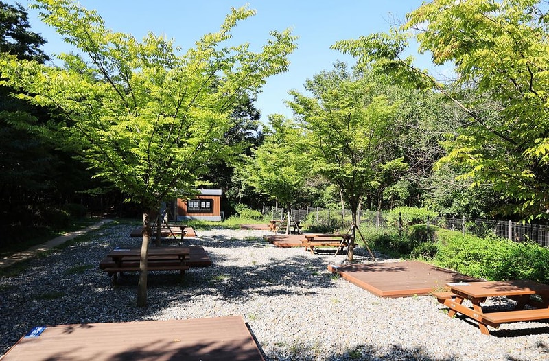 관악산 계곡 캠핑장 시설 사진 8