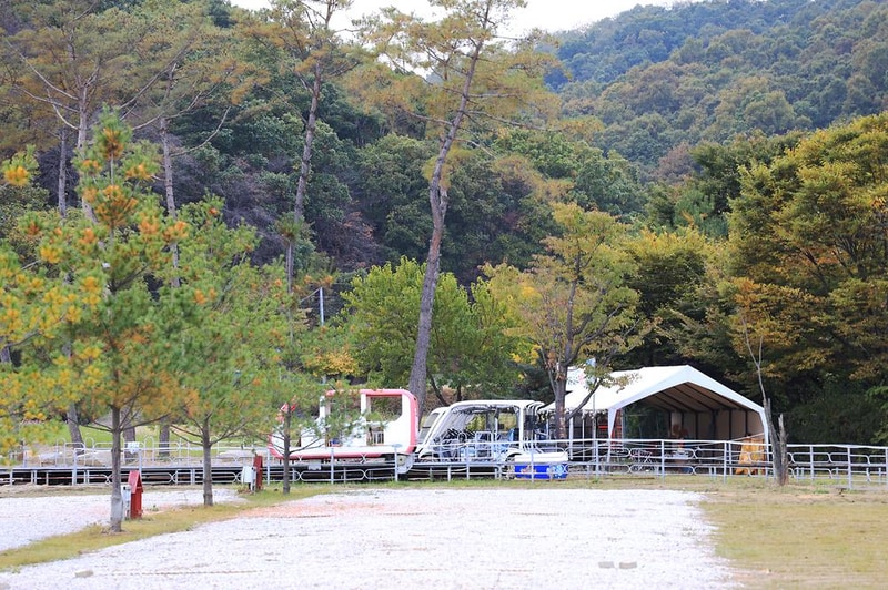 알멕스랜드캠핑장 시설 사진 9