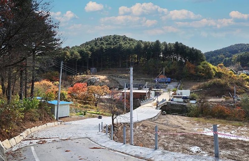 다올숲 대표 사진