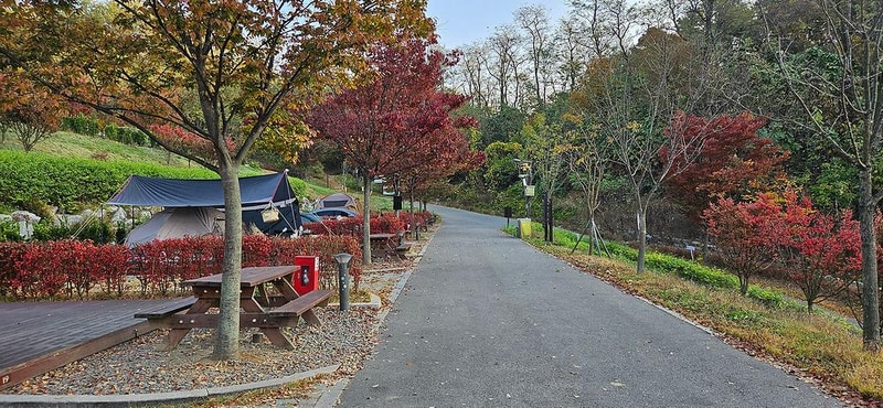 천왕산 가족캠핑장 시설 사진 41