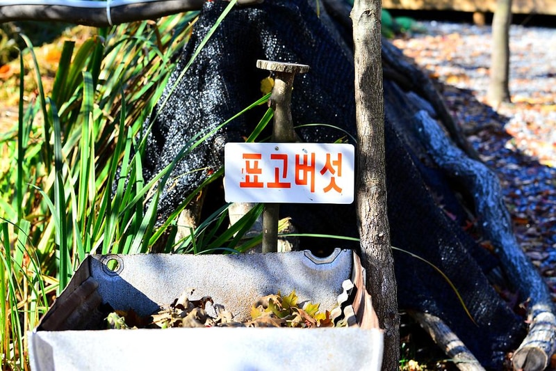 둥지캠핑장 시설 사진 1