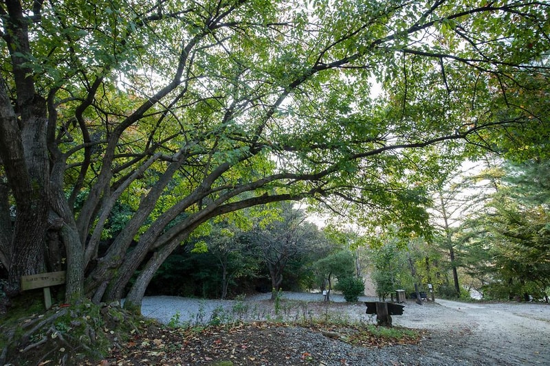 돈내미농장 시설 사진 12