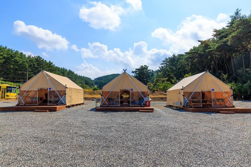 올레유 시설 사진 10