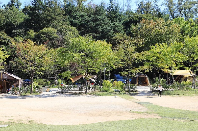 초안산캠핑장 시설 사진 32