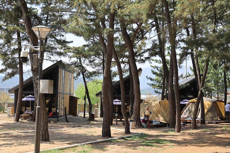 맹방 비치캠핑장 시설 사진 6