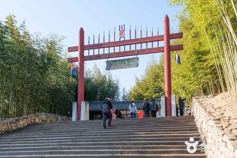 죽녹원