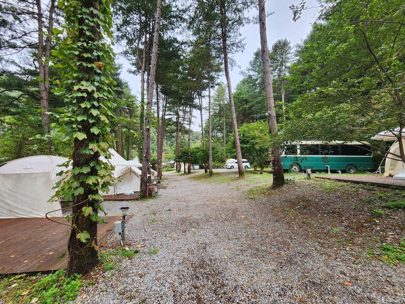 리틀 포레스트 캠핑 시설 사진 8