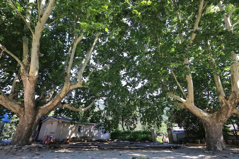 패밀리오토캠핑장(한국전통문화체험학교) 시설 사진 10