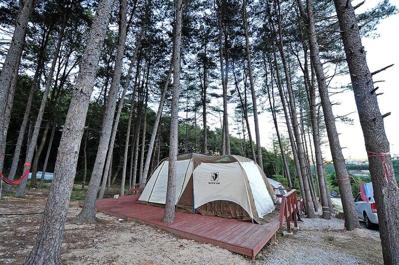 알프스농원캠핑장 시설 사진 8