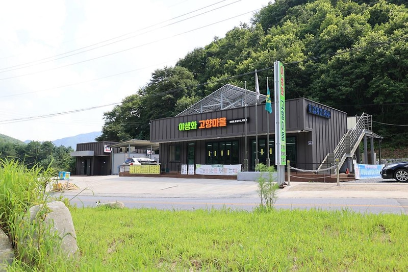 600마지기 가는길 야영장 시설 사진 19