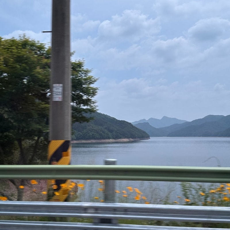 노각나무숲 캠핑장