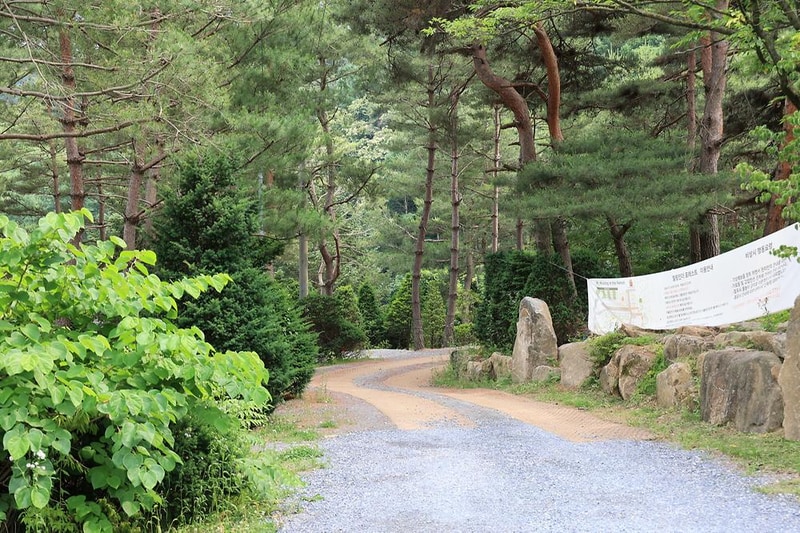 힐링인더 포레스트 시설 사진 6