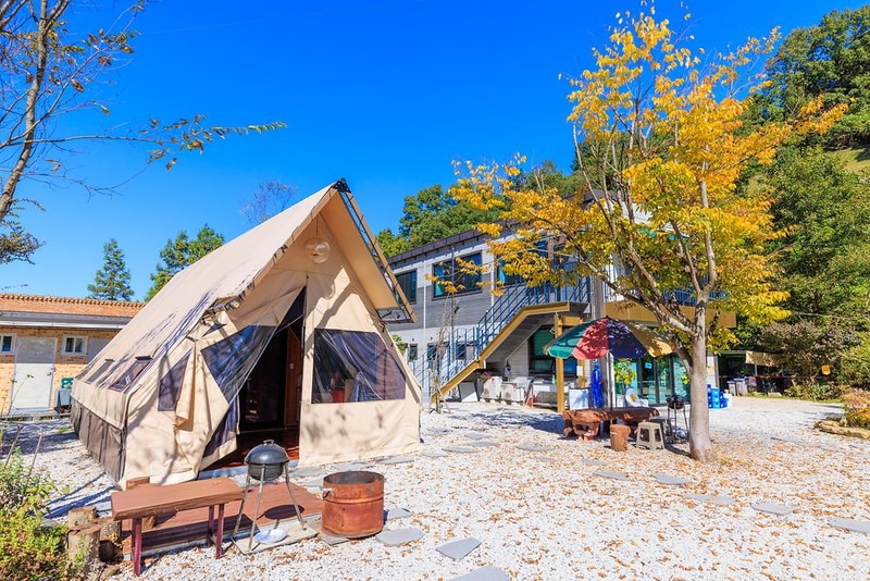 벅스글램핑 시설 사진 16