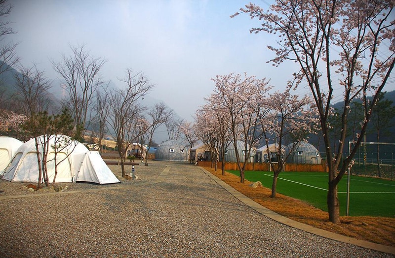 가네골농원 시설 사진 18