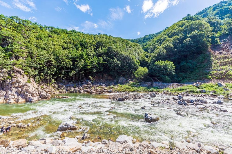 왕피천 숲속 캠핑장 시설 사진 2