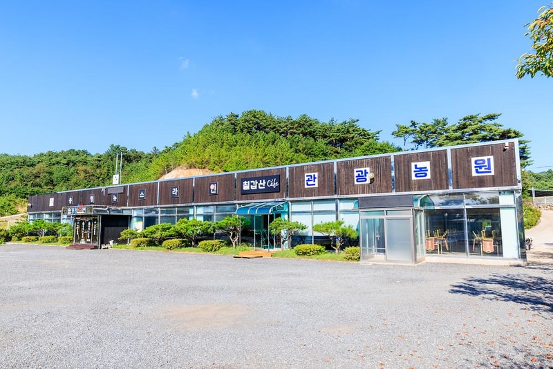 칠갑산관광농원 시설 사진 8